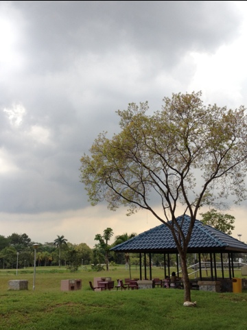 20120416-235035.jpg